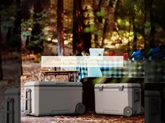 Picnics Best Cool Box with Customize Service and Customized Cooling Performance