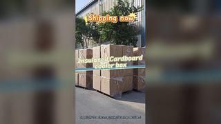 Medical Cooler Box Keep Meds Cold 24-48 Hours