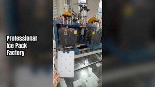 مصنع ايس باك