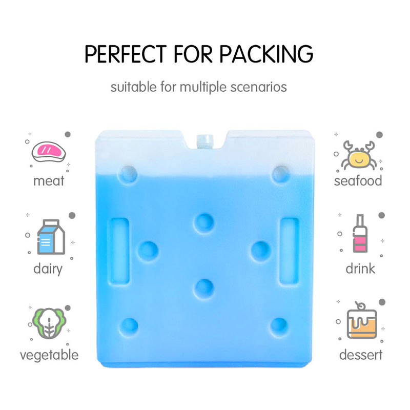Various Sizes Hard Shell Freezer Pack Solid Ice Brick To Comply With Your Standards