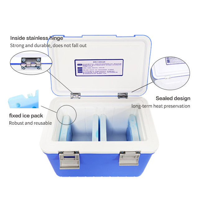 Temperature Display Medical Cooler Box with Blue Color and PP Outer Liner Material