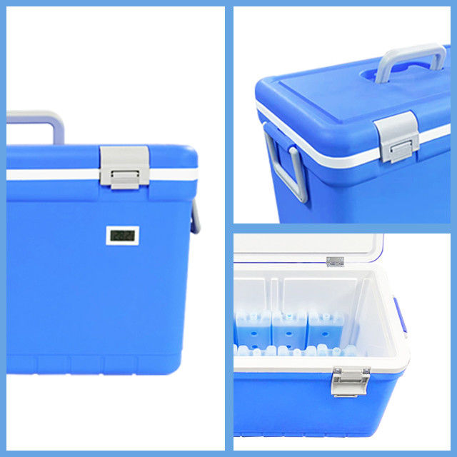 Shockproof And Waterproof Design Small Portable Cooler For Medicine Vaccine Cooler Box Compact And Designed To Protect Sensitive Medical Products