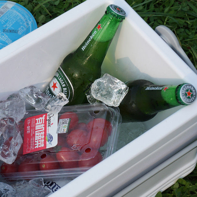 360*240*250mm Cooler Box with Ice Packs 8L Capacity for Outdoor Adventures