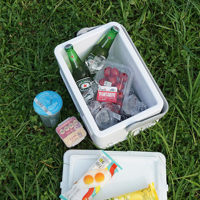 8L Portable Ice Cooler Box FS-8L for Camping Picnics Outdoor
