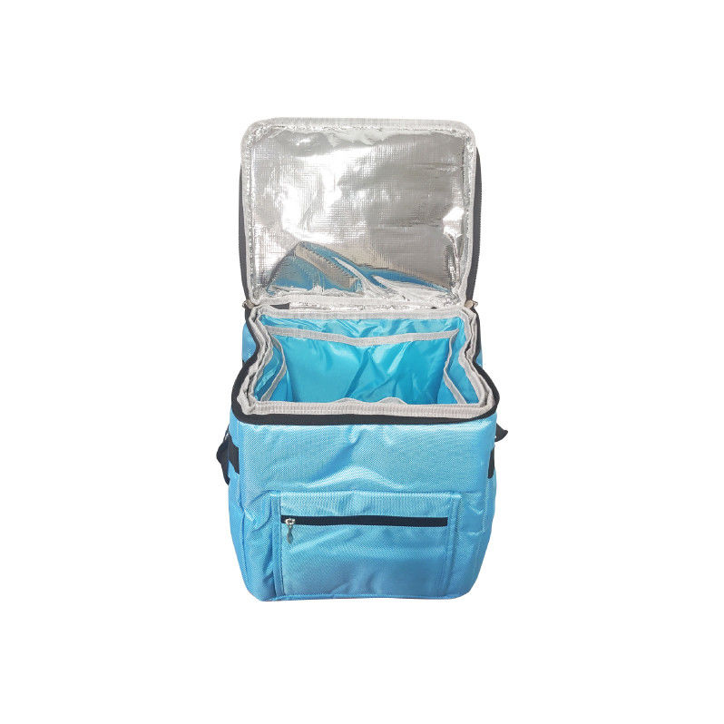 Insulation Cooler Bag With Ice Packs For Temperature-Sensitive Products Blood Transportation Cold Bag