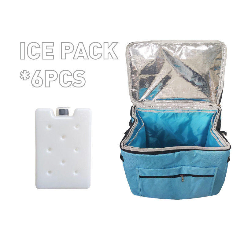 Medical Cooler Bag With Adjustable Straps Ideal For Temperature-Sensitive Drugs Transportation Cold Bag