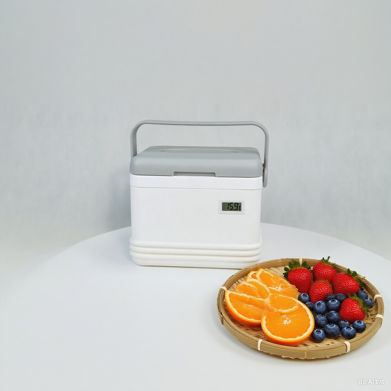 Portable Ice Cooler Box 220x160x160mm with Ice Packs -25°C to 25°C