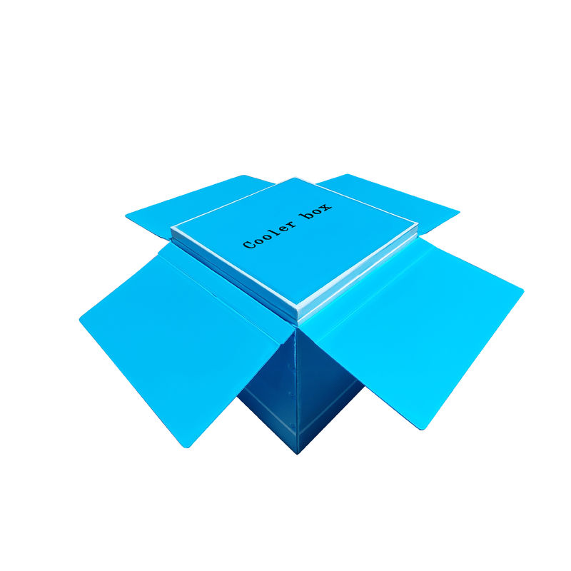 Phefon VIP Cooler Box With 2 To 8 Celsius Temperature Range Optional Temperature Display For Long Time Cold Chain Storage