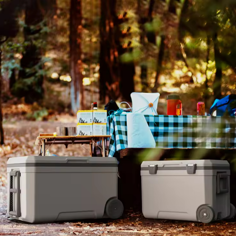 Passive Cooling Method Ice Cooler Box with Optional Temperature Display and Customized Colors for Outdoor Activities