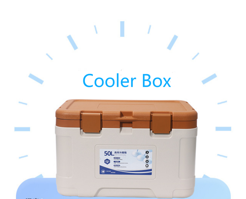 50L Capacity Ice Cooler Box with Temperature Display and 1 Year Warranty for Outdoor Camping