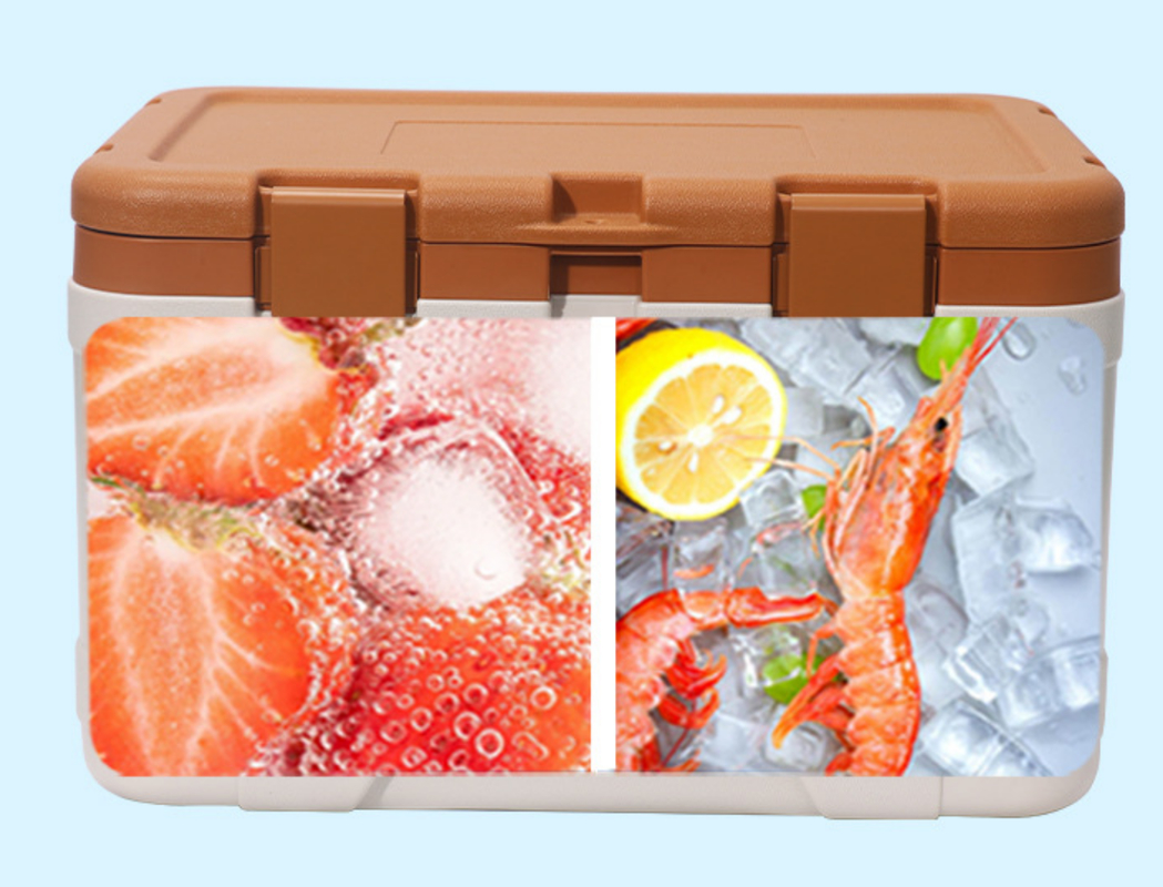 50L Capacity Ice Cooler Box with Temperature Display and 1 Year Warranty for Outdoor Camping
