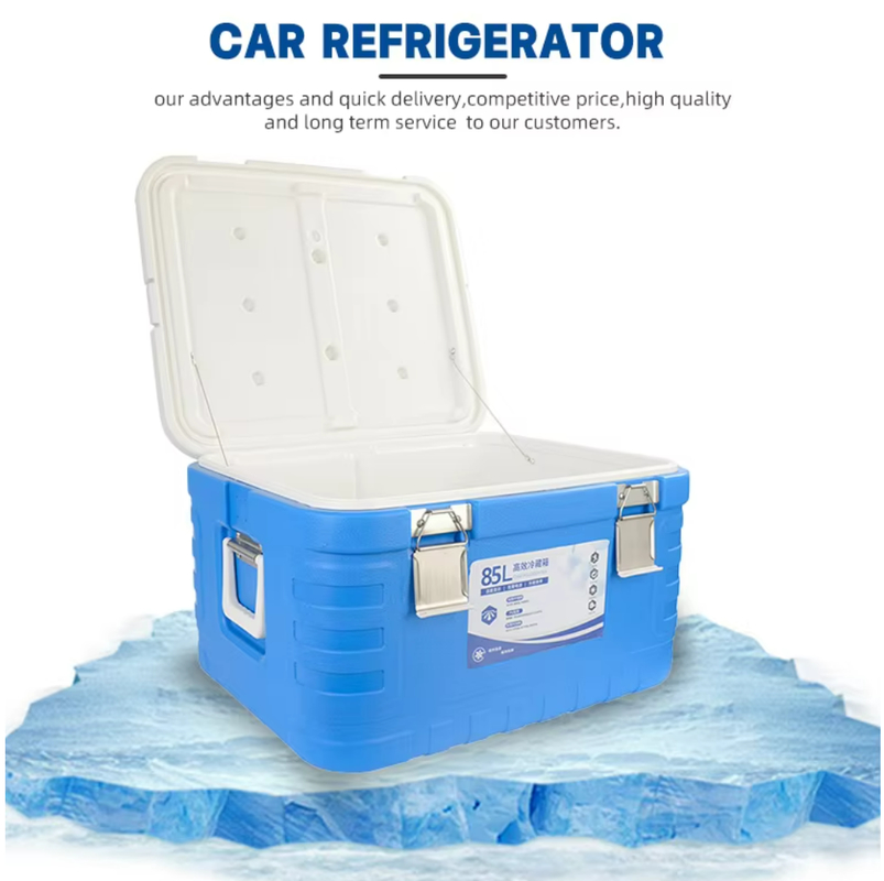 Versatile Insulated Ice Cooler Box with Hinged Lid and Ice Pack for Cold Chain Storage