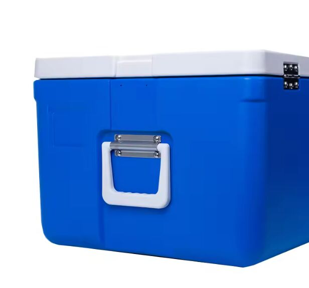 FS-65L Model Ice Cooler Box with 6.4kg Weight and 535x410x300mm Internal Size for Camping and Beach Trips