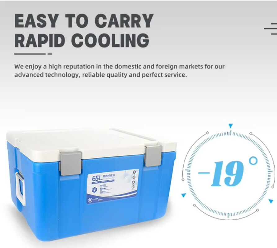 Portable Cooler Ice Box with 535*410*300mm Inner Dimensions, 6.4kg± 5% Weight and 1 Year Manufacturer Warranty