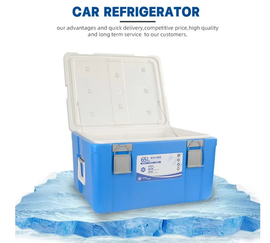 Blue Ice Cooler Box 65L Volume with 36~48h Cold Storage Time and 8kg Single Gross Weight for Camping and Picnics