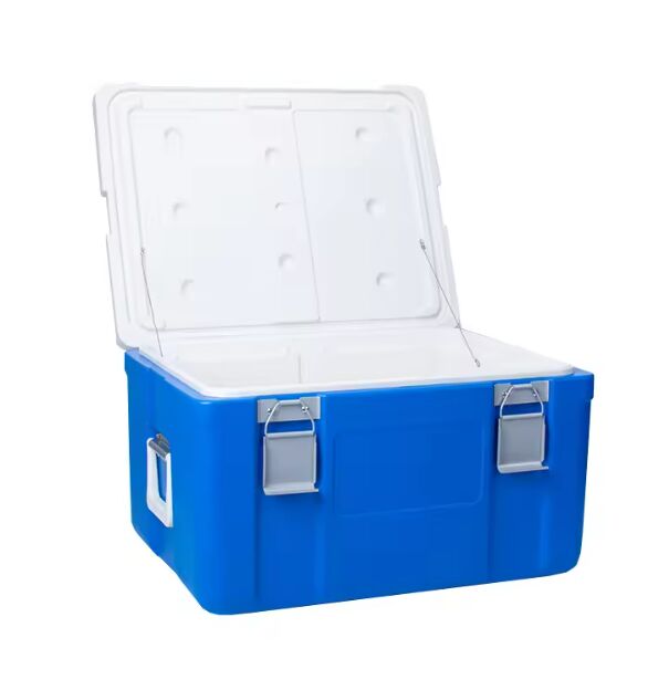 FS-65L Model Ice Cooler Box with 6.4kg Weight and 535*410*300mm Internal Size for Industrial Food Transport