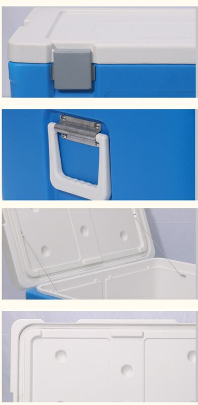 65L Volume Ice Cooler Box with 36~48h Cold Storage Time and 535*410*300mm Internal Size for Camping and Picnics