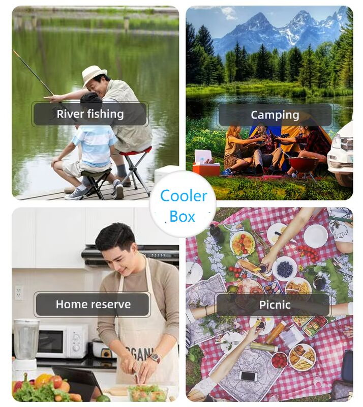 65L Ice Cooler Box with Fixed Ice Packs and 535*410*300mm Internal Size for Camping and Outdoor Use