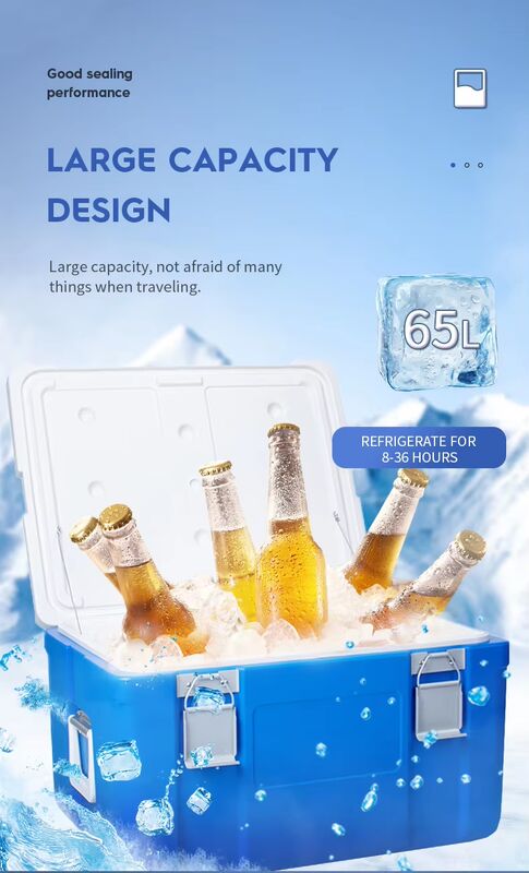 Blue Ice Cooler Box 65L Volume with 36~48h Cold Storage Time and 8kg Single Gross Weight for Camping and Picnics