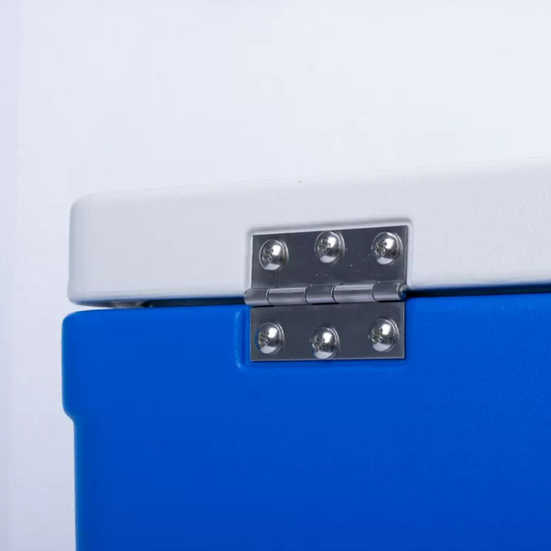 FS-65L Ice Cooler Box with Passive Cooling Method and 7.9Kg Single Gross Weight for Food Logistics