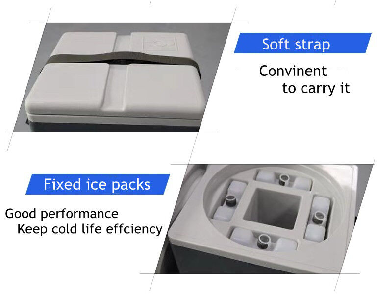 Phefon Brand Manufacturer Direct Supply Durable 1.7Liters Vaccine Cold Box For Safe Temperature-Controlled Vaccine Transportation
