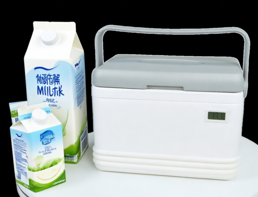 FS-8L 8L Ice Cooler Box with PU Foam Insulation and Ice Pack
