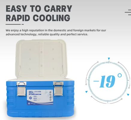 Portable Ice Cooler Box with Insulation and 64.5X53.2X39.6 Cm Dimensions for Outdoor Cooling Storage