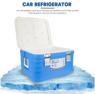Waterproof Insulated Thermal Ice Cooler Box for Outdoor Camping Fishing and Beach Trips