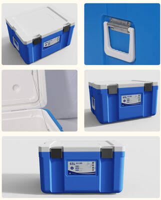 65L Capacity Portable Cooler Box with 7.9Kg Gross Weight and 655*495*3655mm External Dimensions