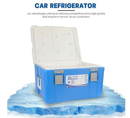 Blue Ice Cooler Box 65L Volume with 36~48h Cold Storage Time and 8kg Single Gross Weight for Camping and Picnics