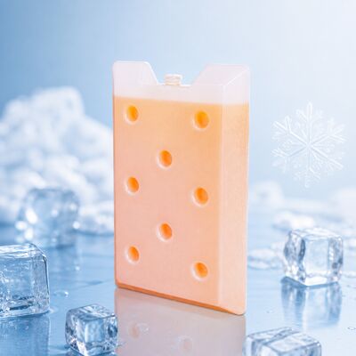 Leakproof Gel Ice Pack Reusable Non Toxic Safety Features Support Customize Suitable for Food Shipping Medical and Sports Recovery